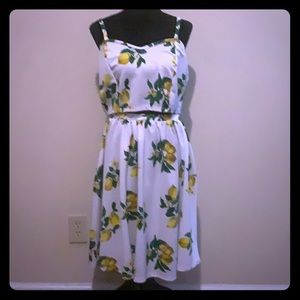 Fashion to Figure Lemons Set